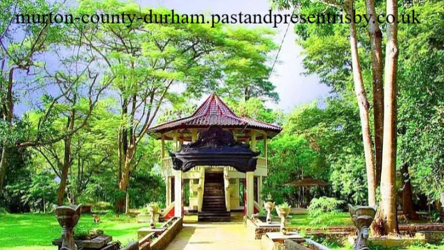 Rekomendasi Wisata Alam di Palembang dan Sekitarnya